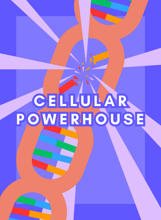 Cellular Powerhouse (Out of Stock)